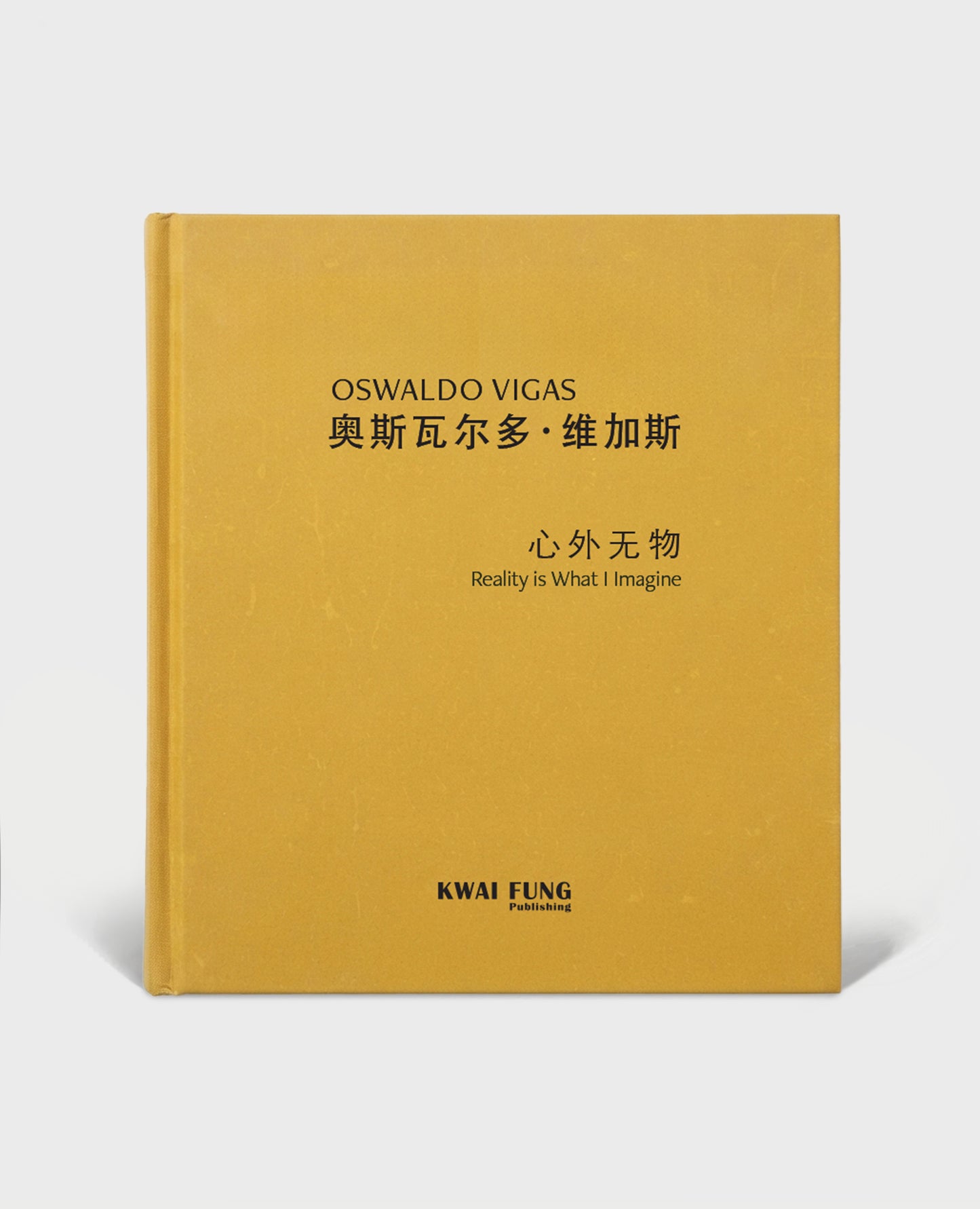 OSWALDO VIGAS: REALITY IS WHAT I IMAGINE 奧斯瓦爾多 · 維加斯: 心外無物