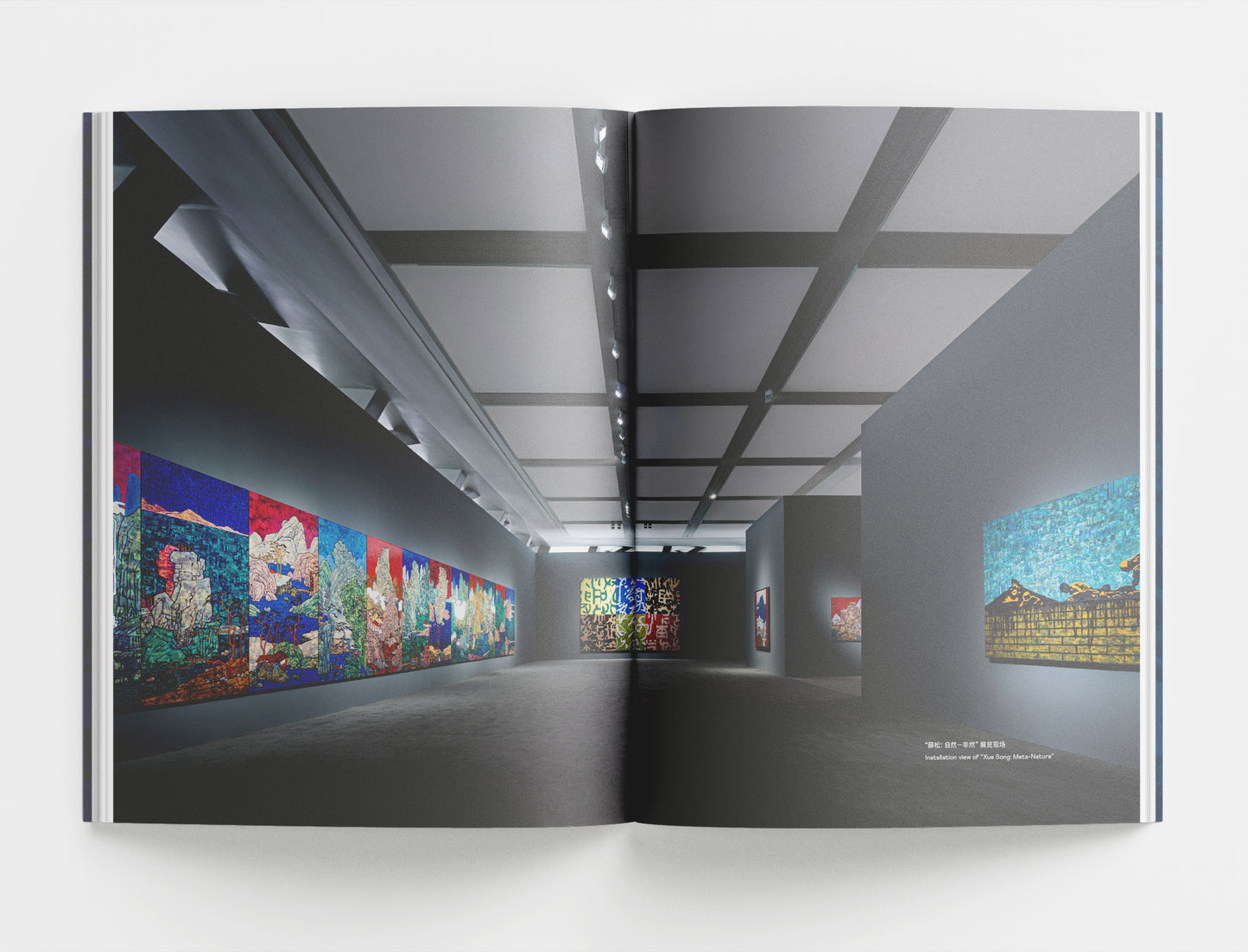 XUE SONG: META-NATURE EXHIBITION CATALOGUE 《薛松:自然 — 非然》展覽圖冊